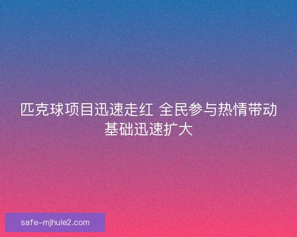 匹克球项目迅速走红 全民参与热情带动基础迅速扩大 匹克球项目迅速走红 全民参与热情带动基础迅速扩大